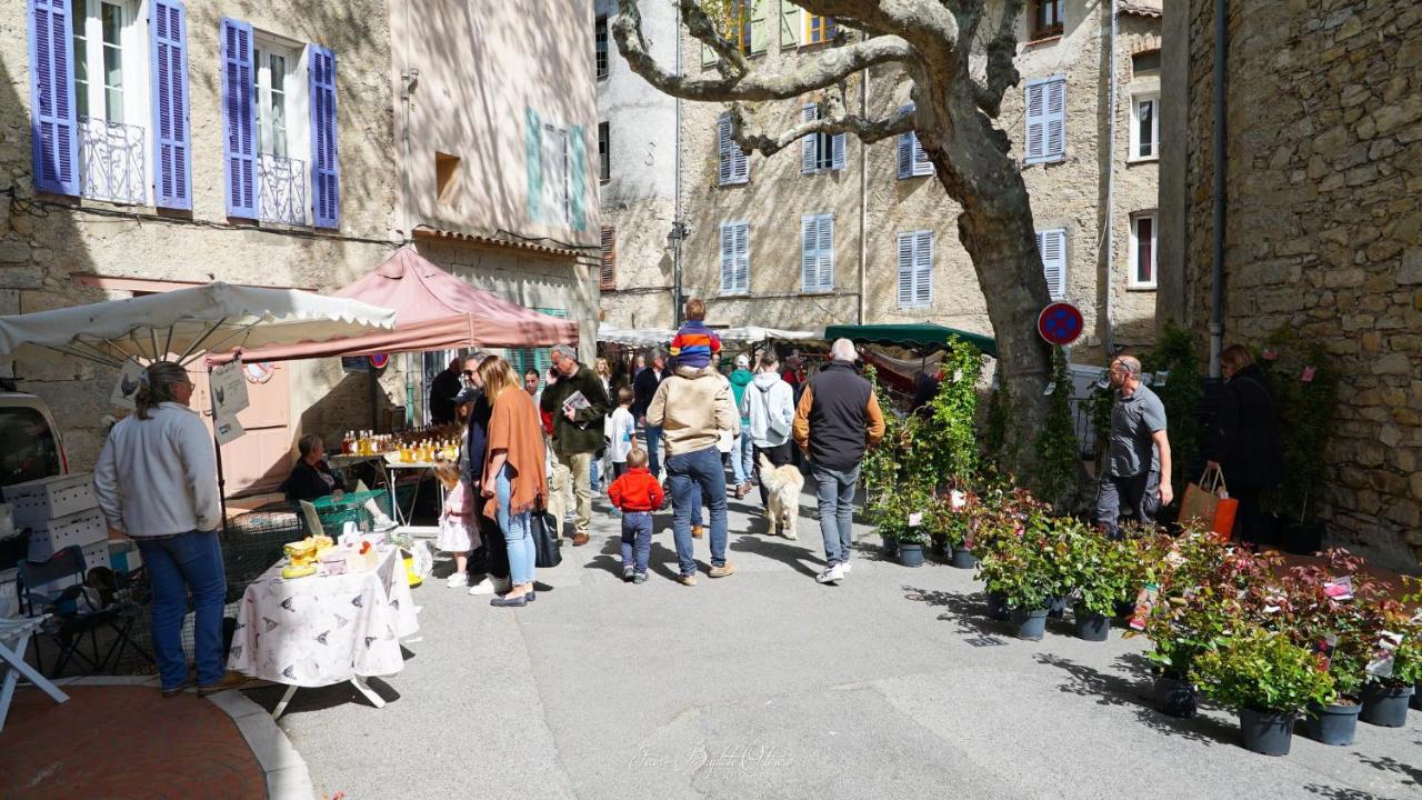 Maison De Village La Clemaline Figanières Esterno foto